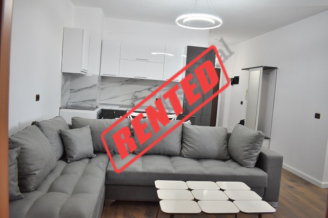 Apartament 1+1 me qira perballe Kompleksit Delijorgji, ne rrugen e Kavajes ne Tirane.
Shtepia pozic